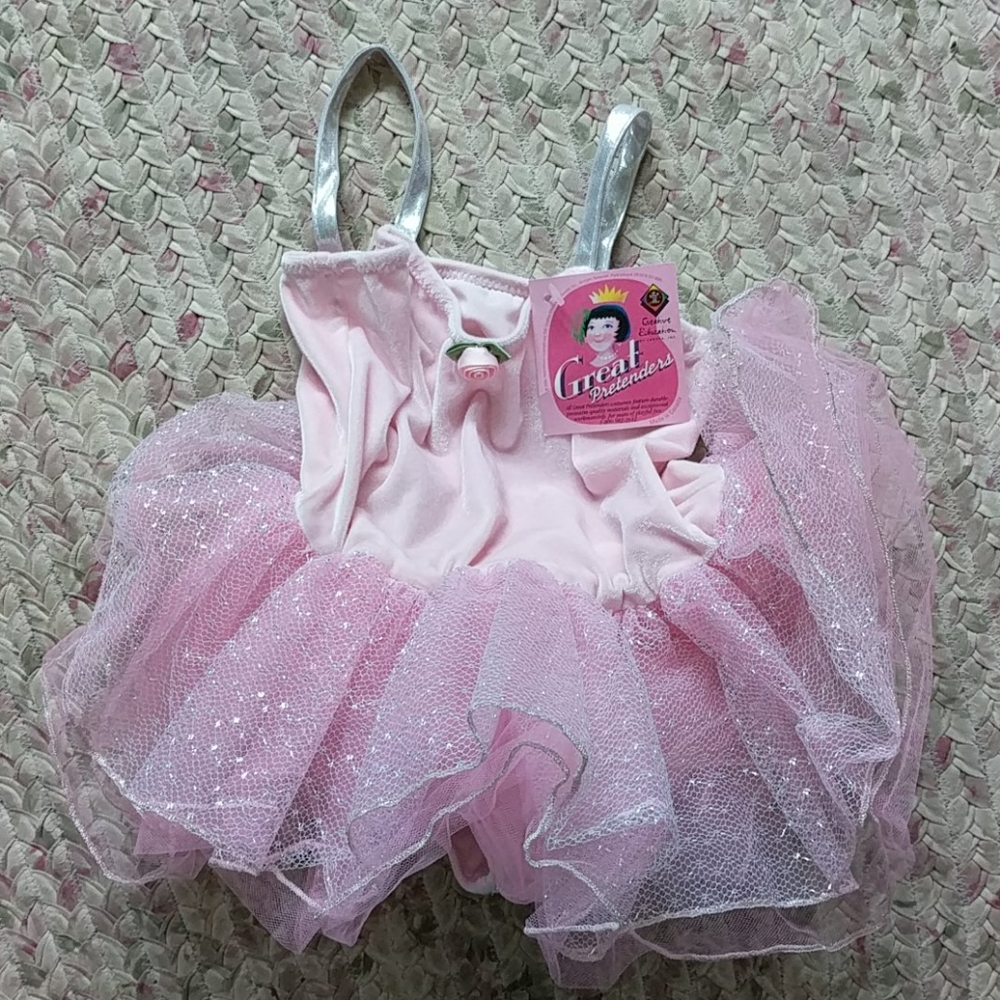 🎉⭐ Host Pick⭐🎉 Toddler dress up ballerina leotard/tutu combo